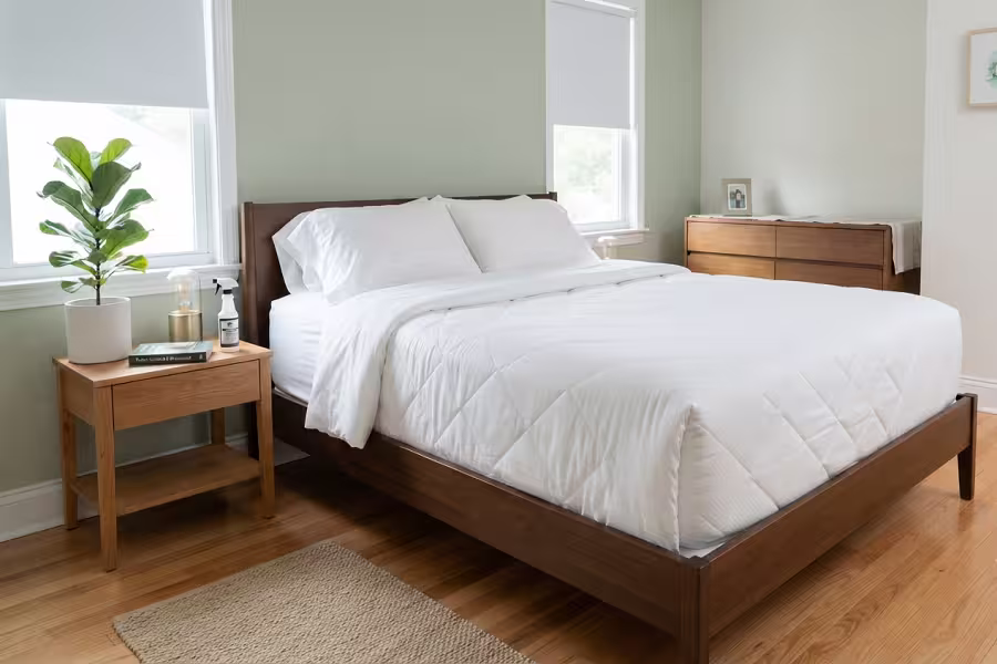 Hygiene safety check for mattress after rodent infestation